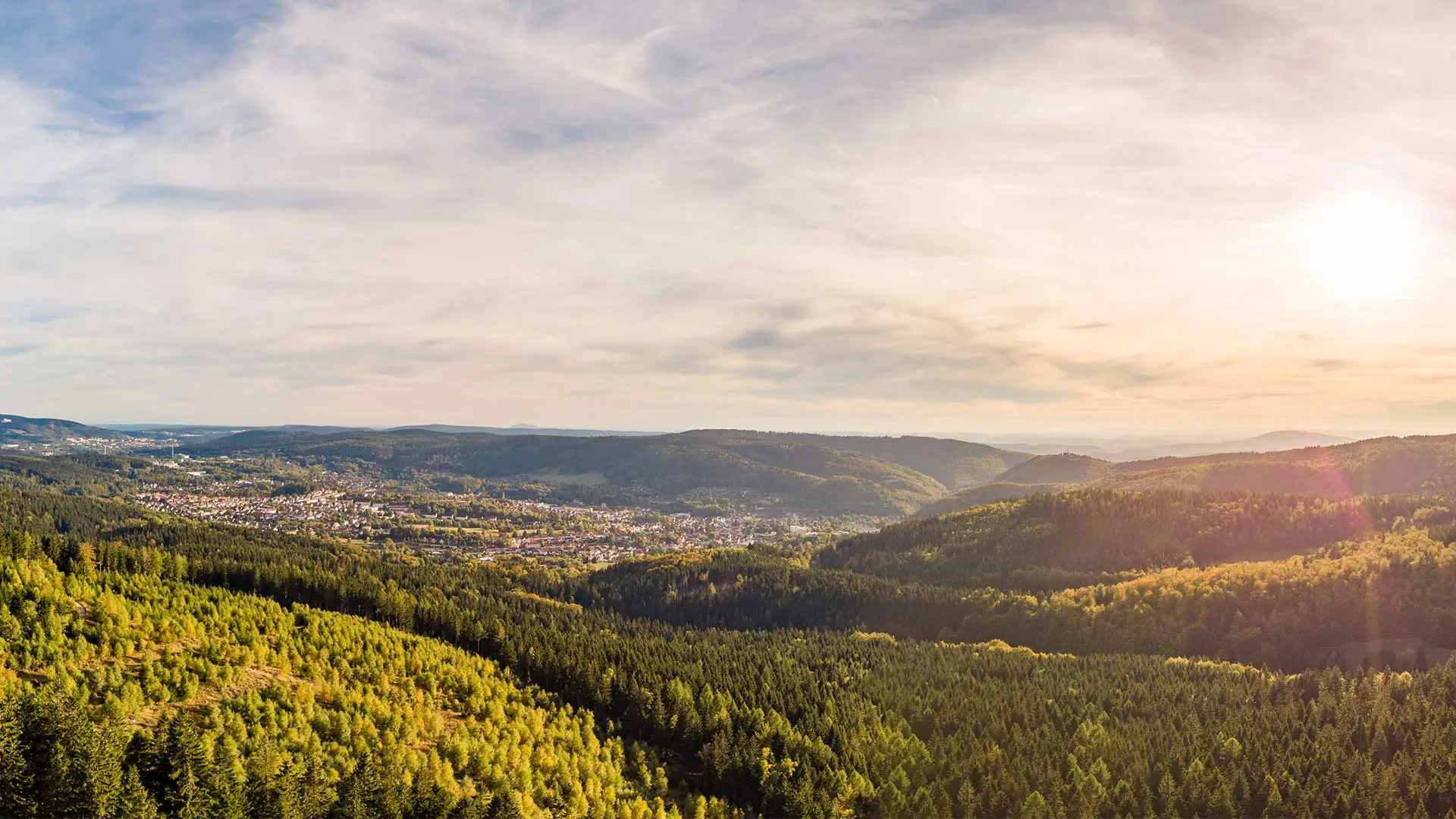 Blick über den Thüringer Wald, Heimatregion des Arbeitgeberkreises Fertigung